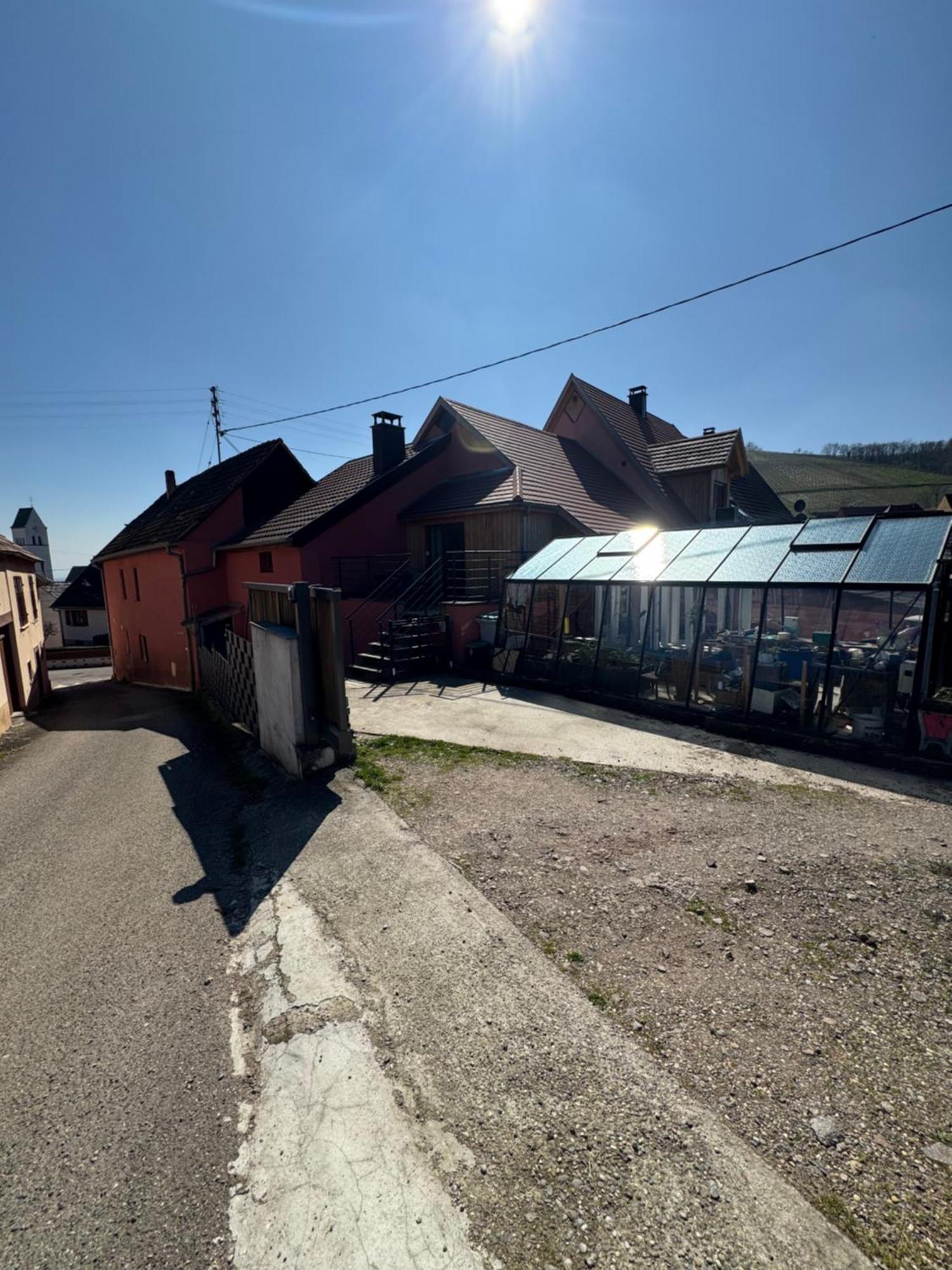 Le Cocon Du «Katzelberg» A 10Mn De Colmar Apartment Katzenthal Екстериор снимка
